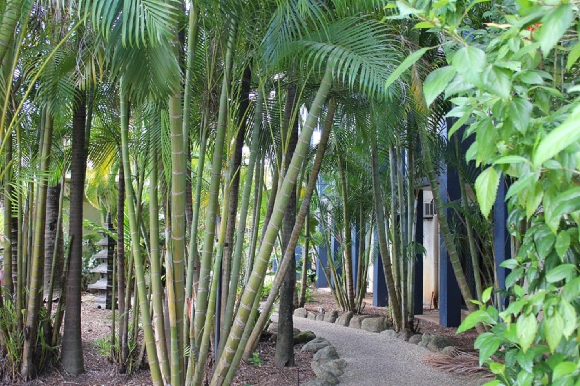 Bohemia Resort Cairns Eksteriør billede